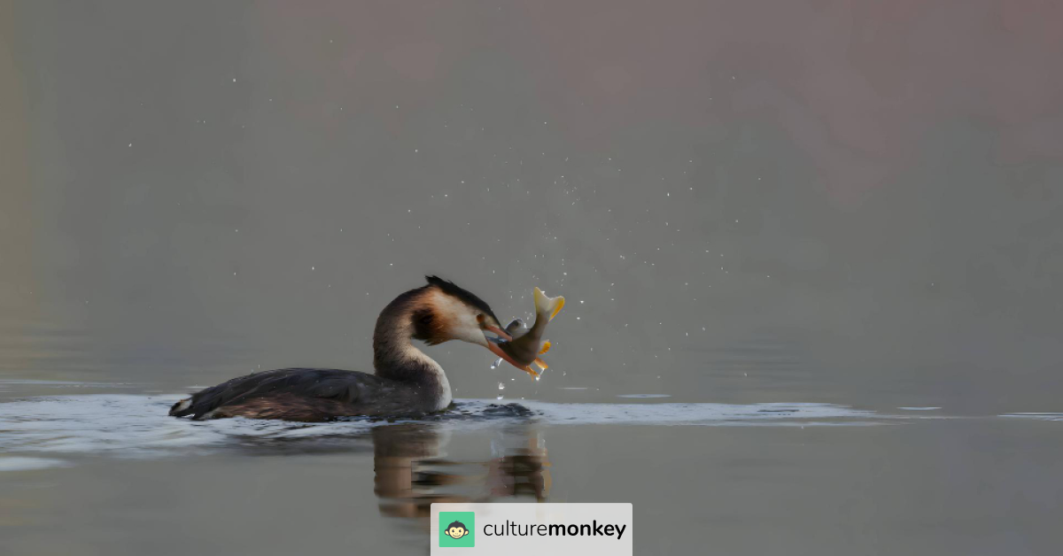 A bird catching a fish