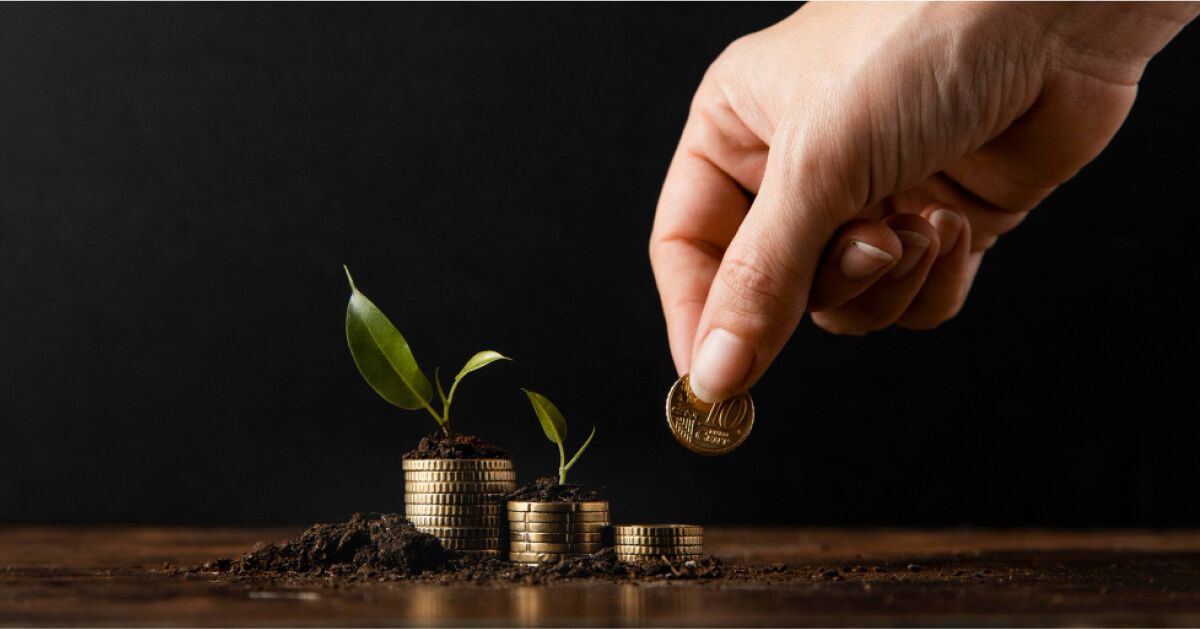 What are employee incentive programs?