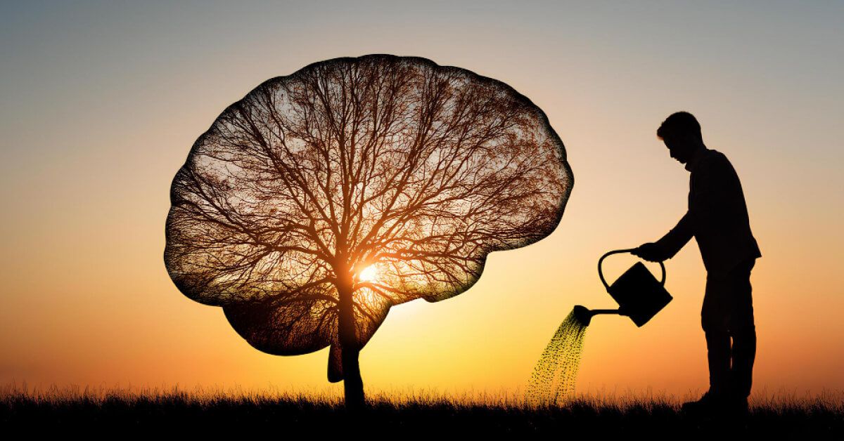 Silhouette of a person watering a brain-shaped plant
