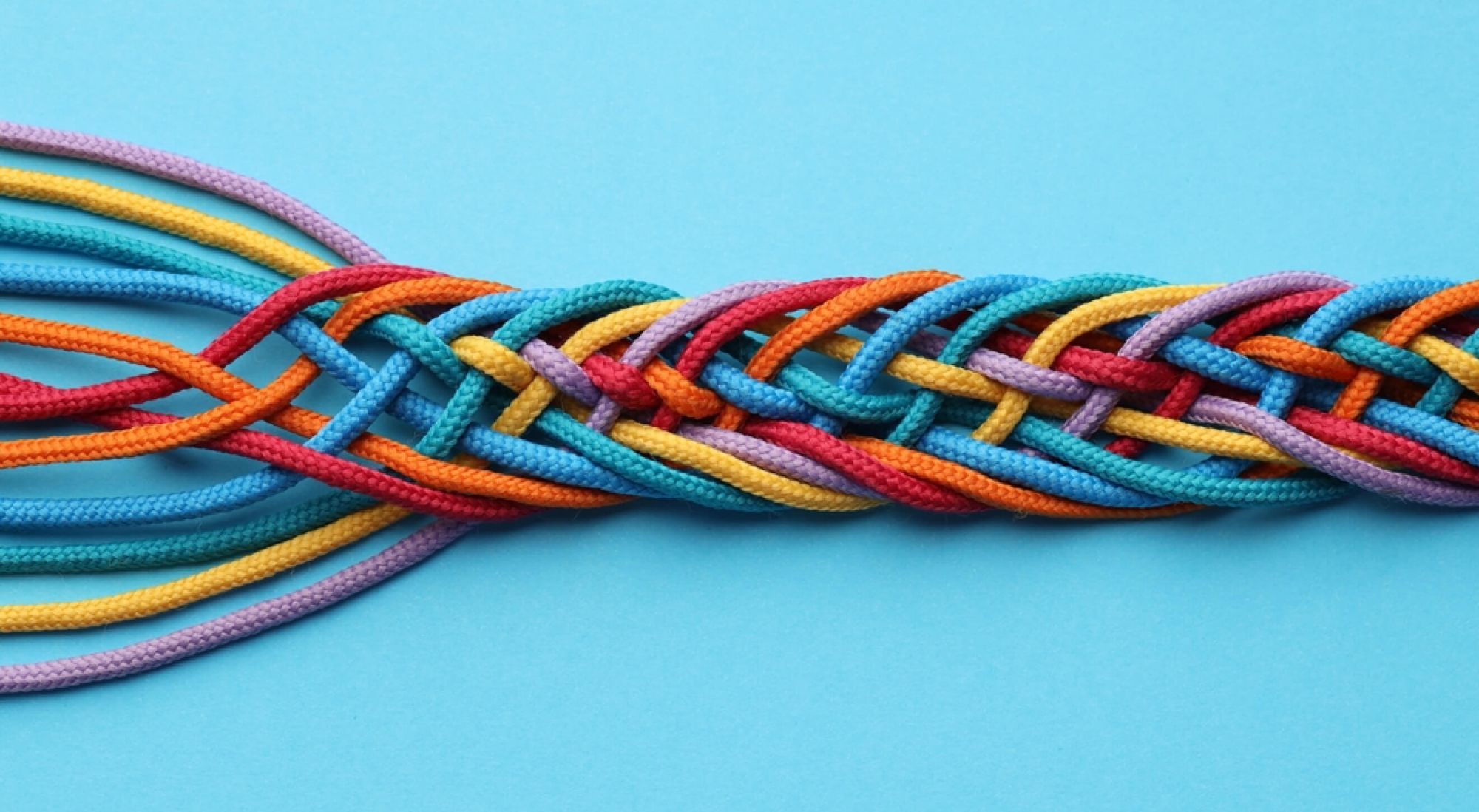 Team cohesion as a growth driver: How a unified team boosts results