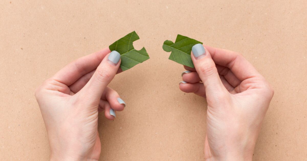 Person joining two puzzle pieces made out of leaves