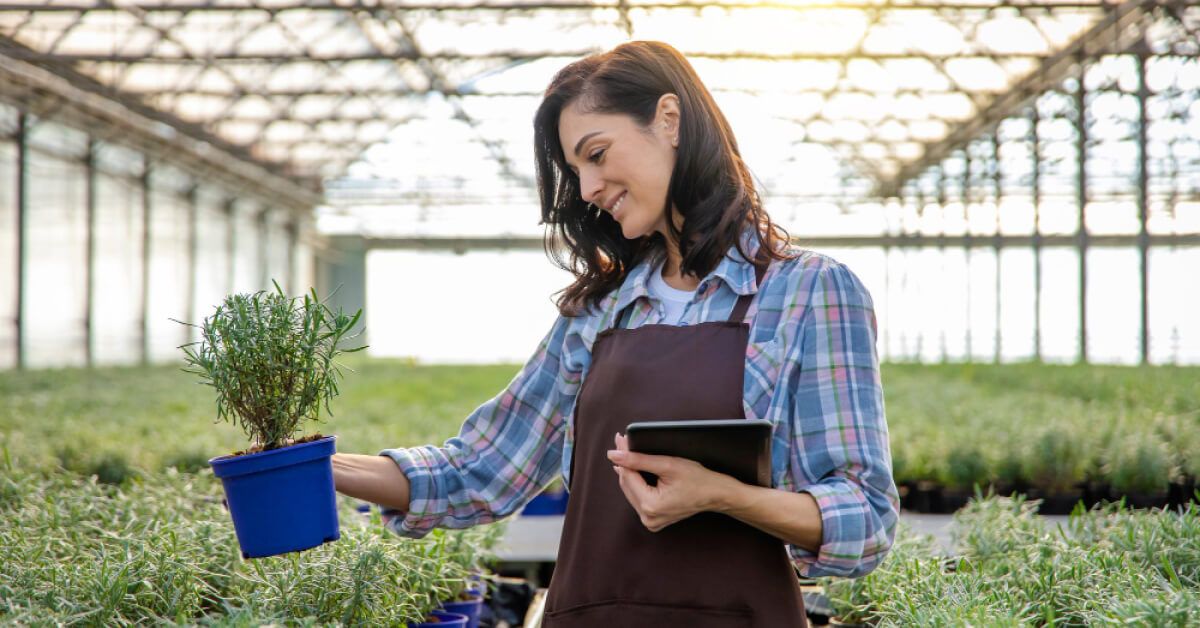 Woman analyzing a plant in a nursery