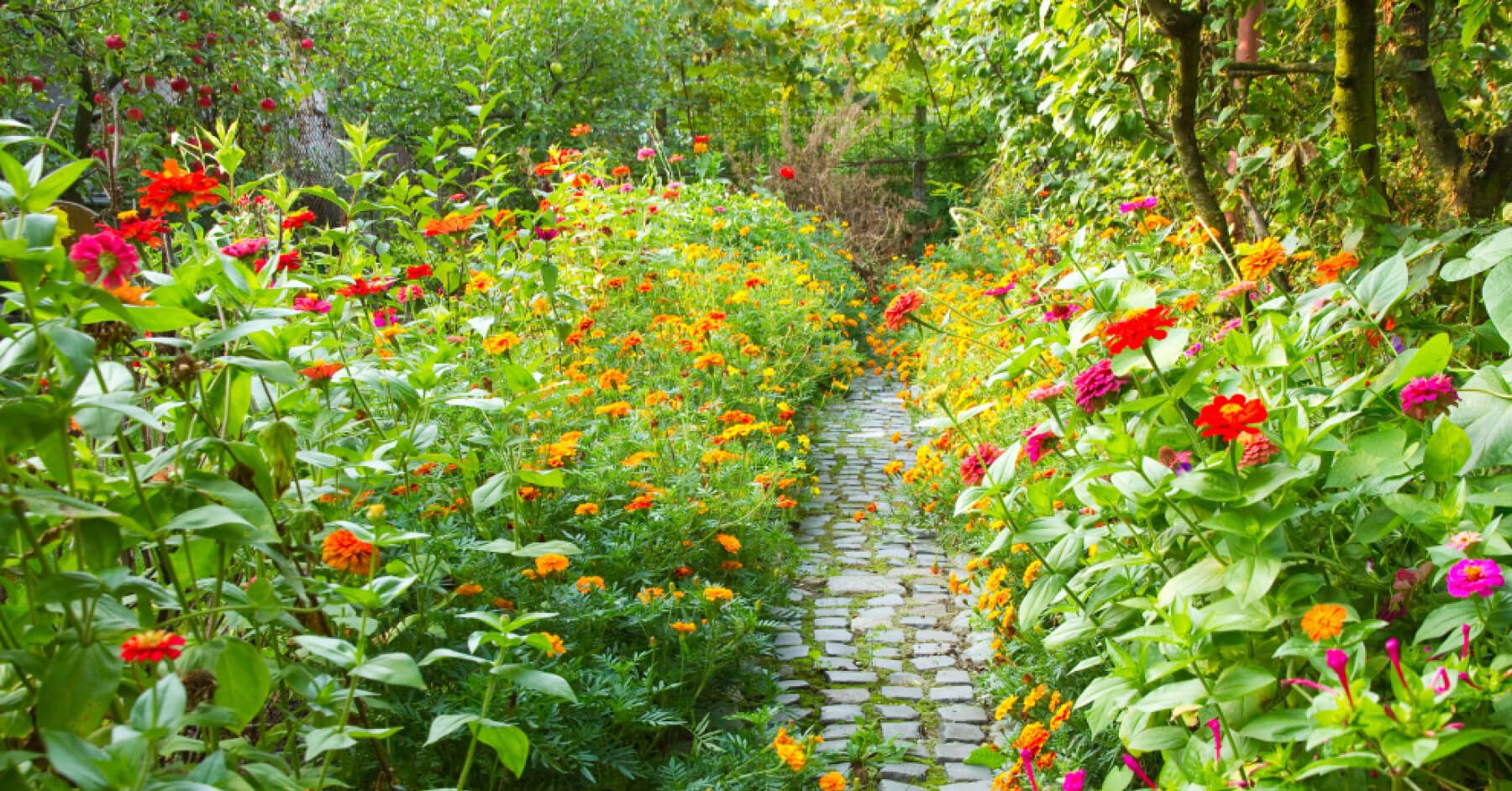 Narrow pathway in a garden surrounded by a lot of colorful flowers