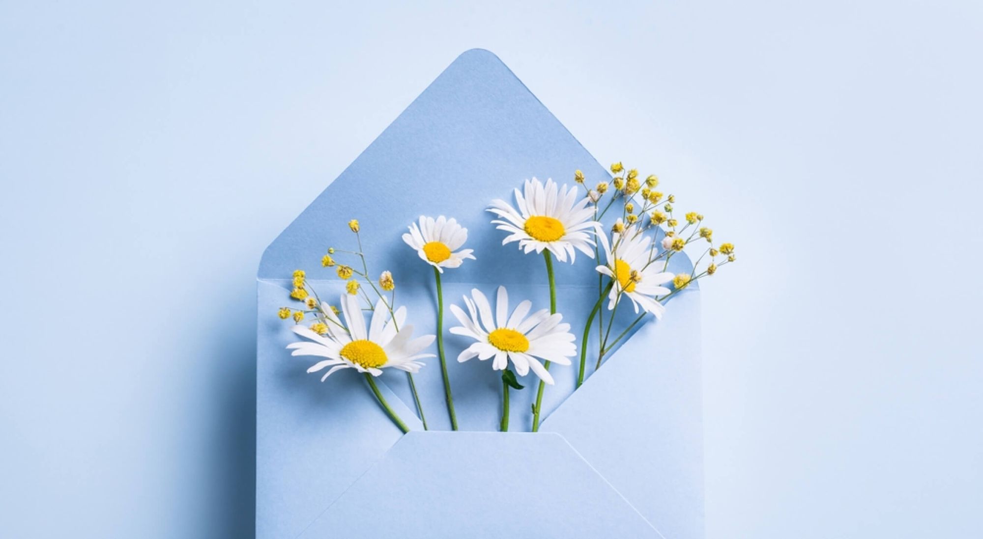 Envelop full of daisies
