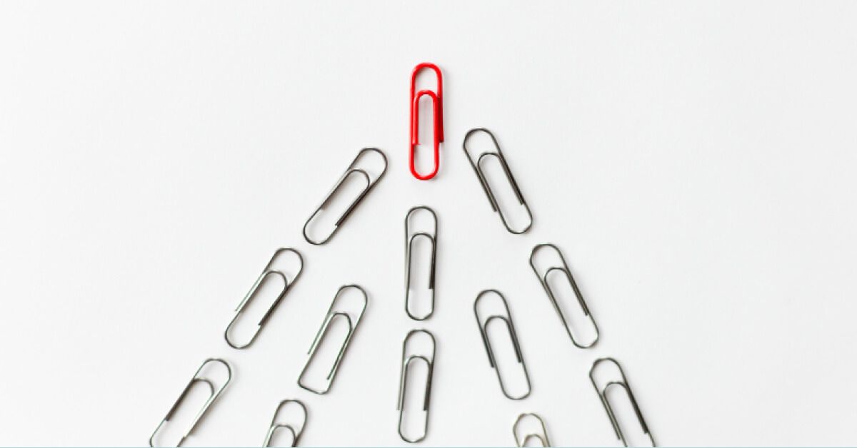 Metal paper clips arranged in a wedge bird shape