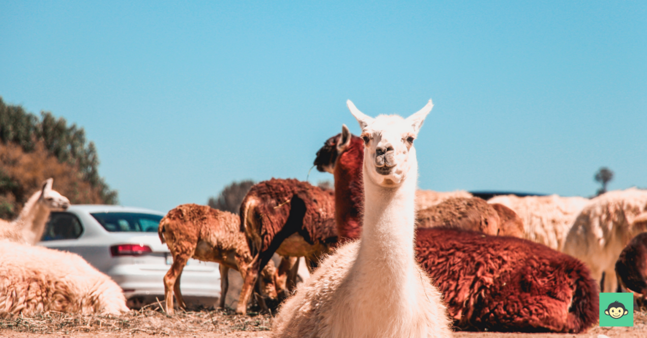 Employee engagement toolkit for the modern people leaders & managers