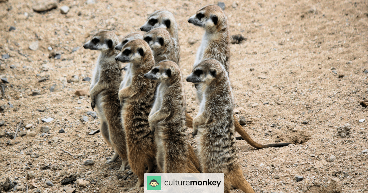 Everything you need to know about employee engagement committee