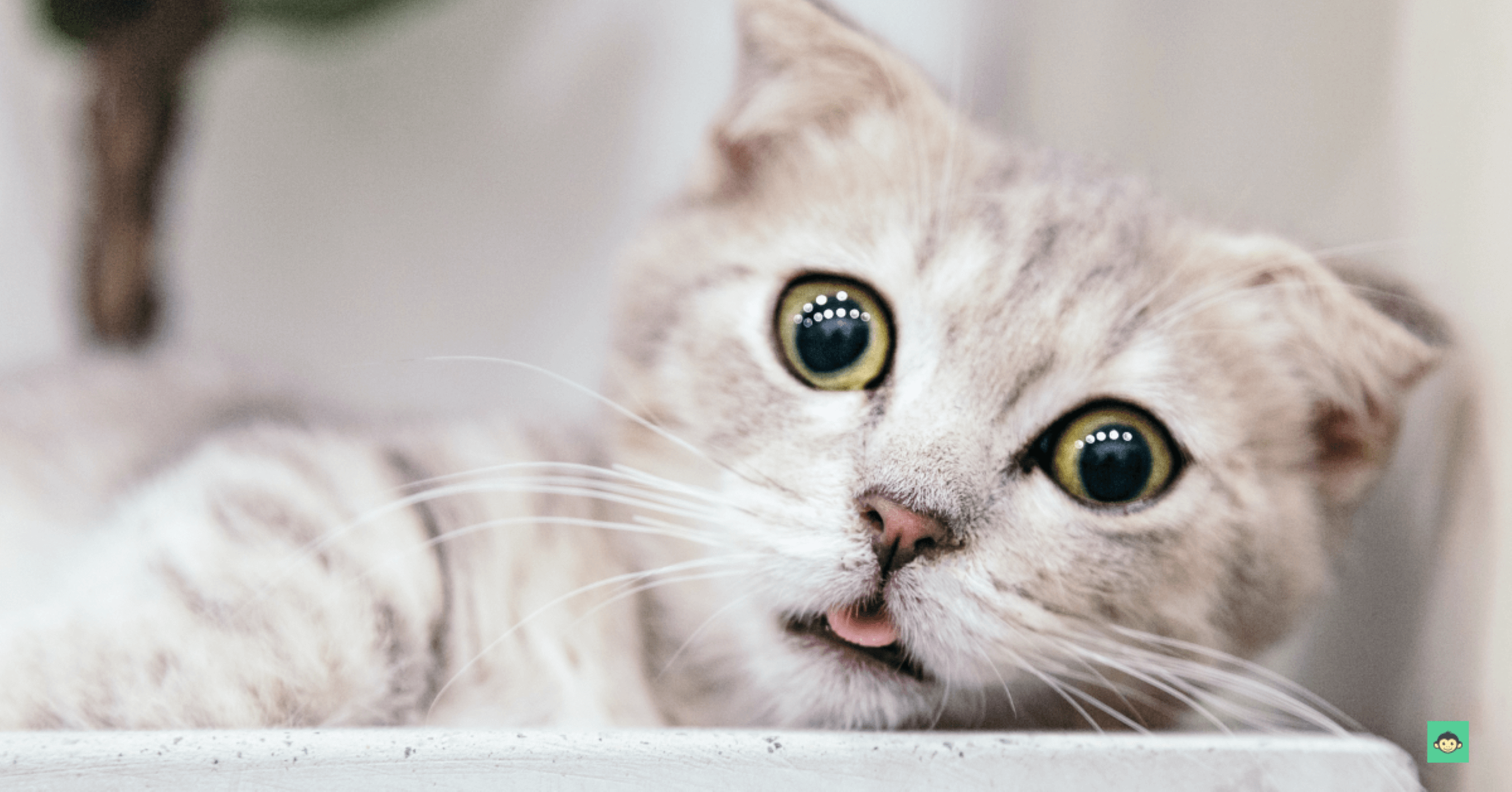 The impact of employee engagement on retention in 2023