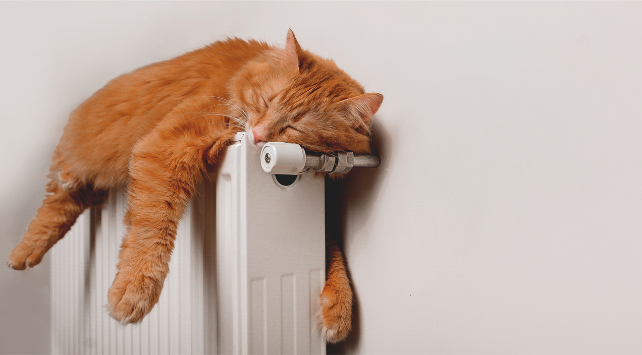 Lazy worker: Key traits, impact, and management strategies to implement in 2025