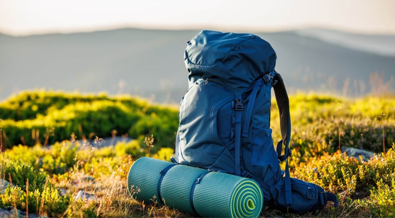 What is an employee journey? Top strategies and examples for leaders in 2024