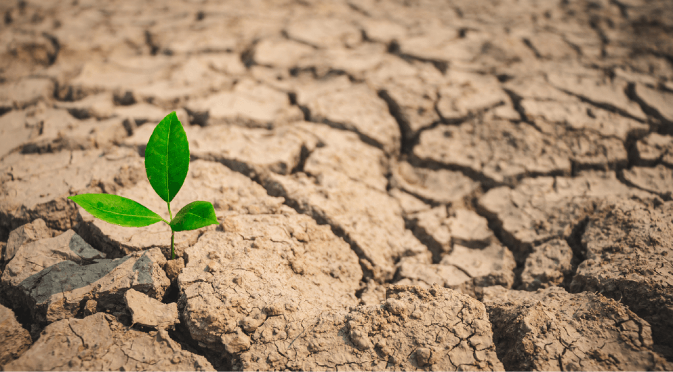 Resilience in the workplace: Strategies and examples to follow as a leader in 2024