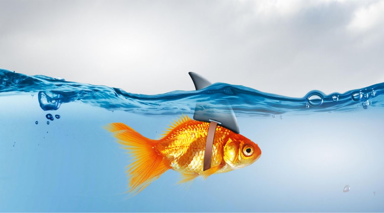 False accusations at work: How HR can protect both people and policy