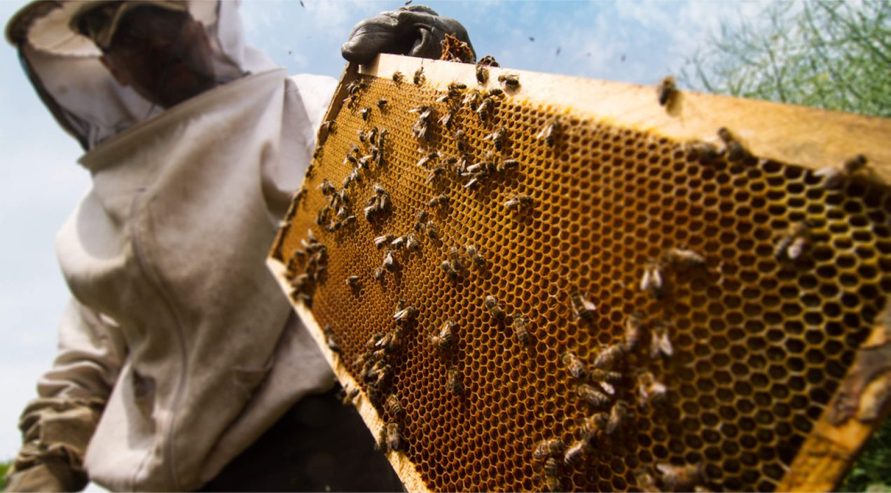 Employee engagement in HR: How HR drives satisfaction, productivity, and retention