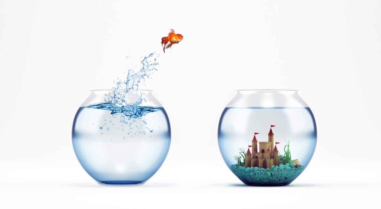 50+ Culture index survey questions that you should ask your employees in 2025