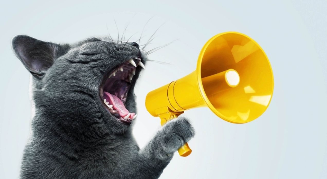 75+ Best employee communication survey questions to improve collaboration in 2025