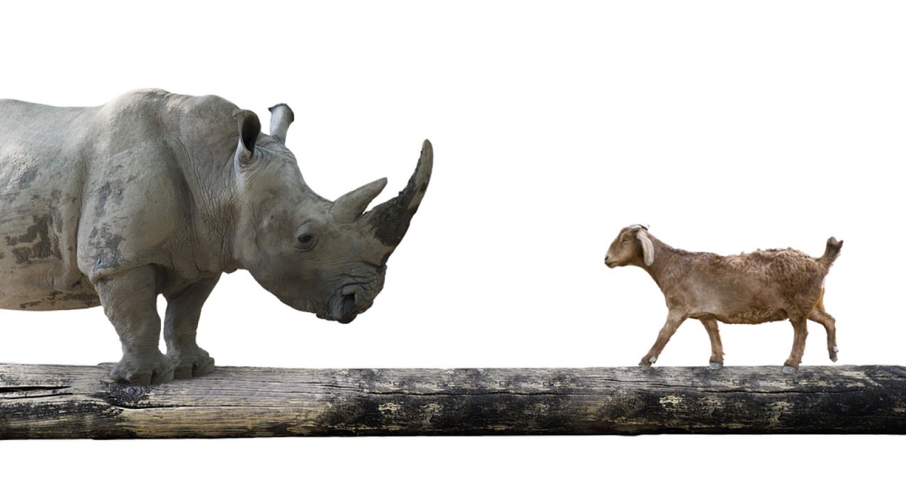 Why is conflict resolution training in the workplace important?