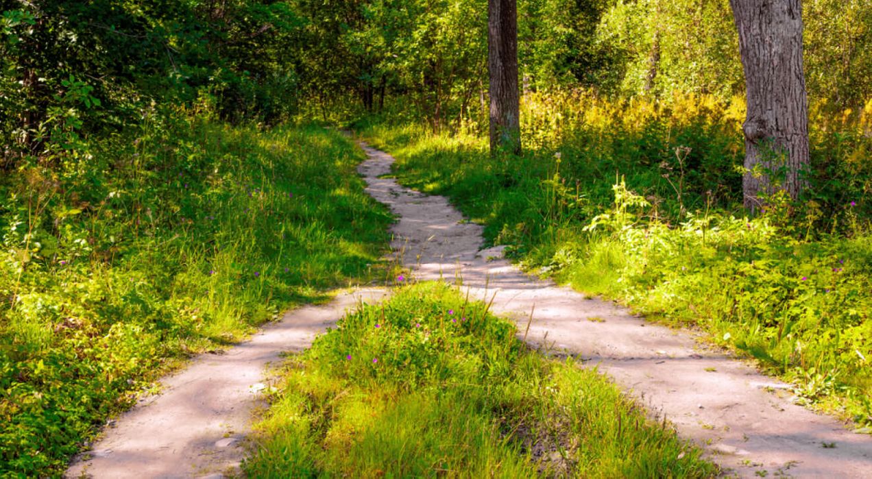 Double barreled question: How to avoid it for a smooth flow of employee survey feedback