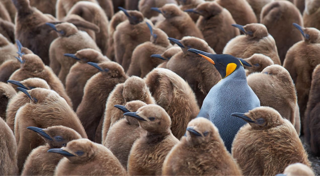 20+ Effective leadership behaviors: How to lead, inspire, and retain your team