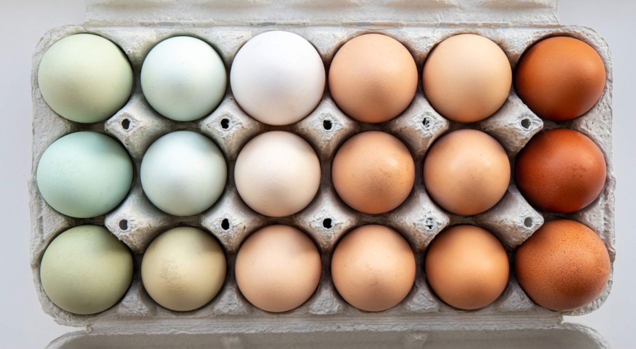 9 Types of work environments you need to know with examples