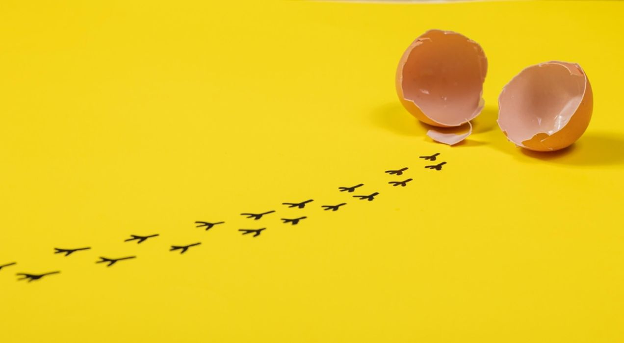 How do you design a performance review program that actually works?