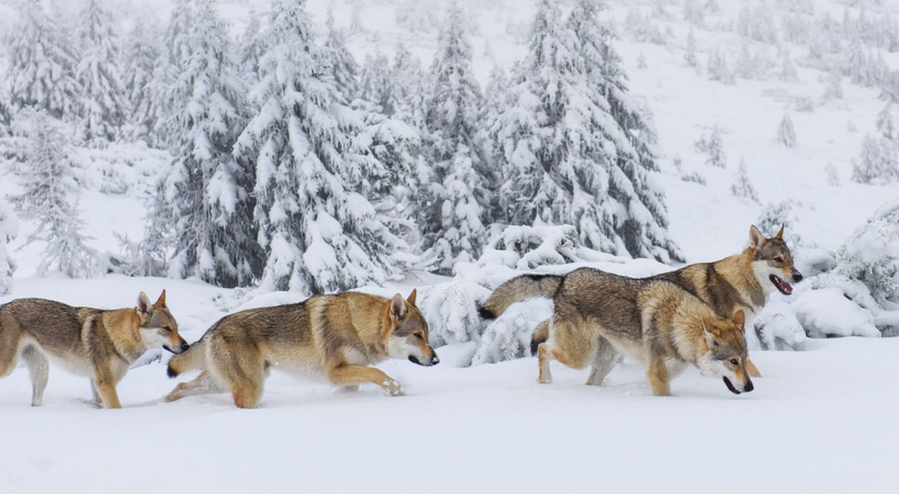 Styles of business management: Which one drives the best results for your team?