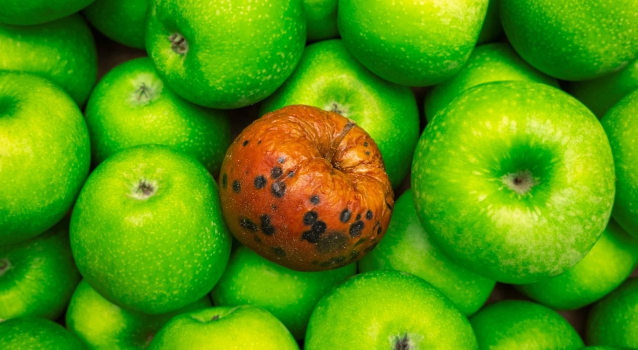 Bad work culture costs more than you think—here’s how to spot it and turn it around