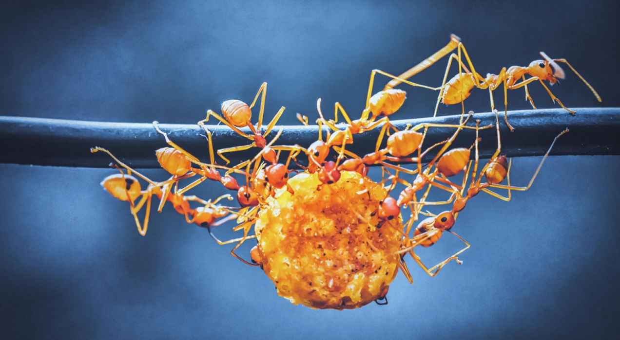 How to increase collaboration between teams in 2025?