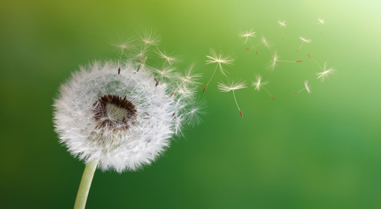 Why employee lifecycle surveys are the secret to building a high-performance culture