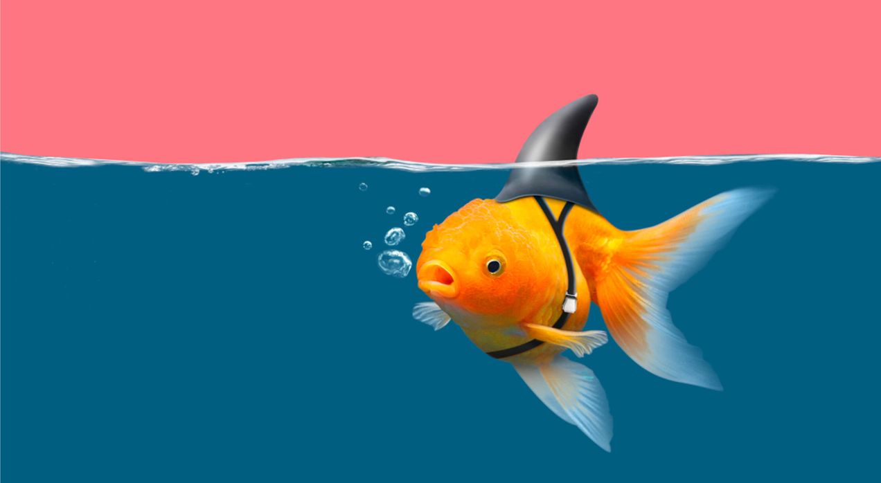 False accusations at work: How HR can protect both people and policy