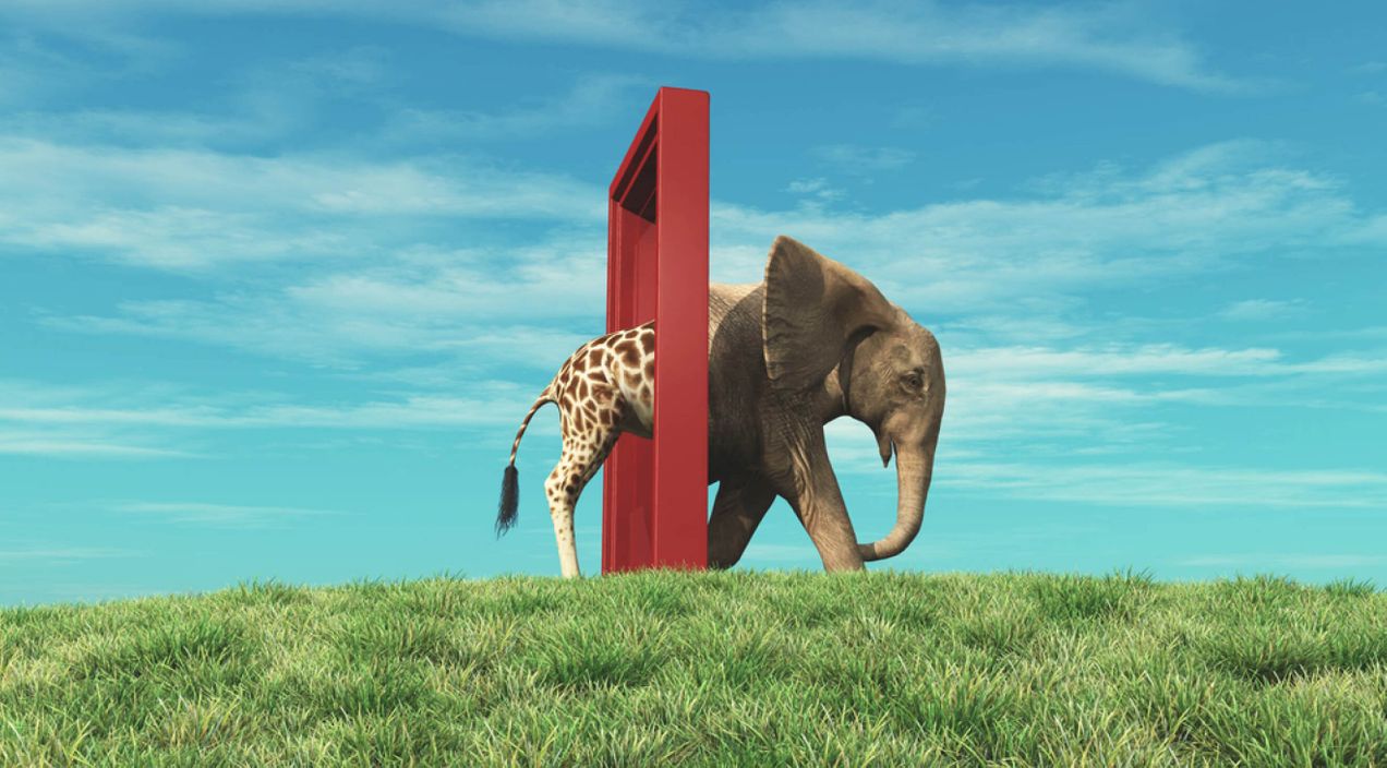 Employee engagement survey results & analysis: How HRs can make big impact in 2025